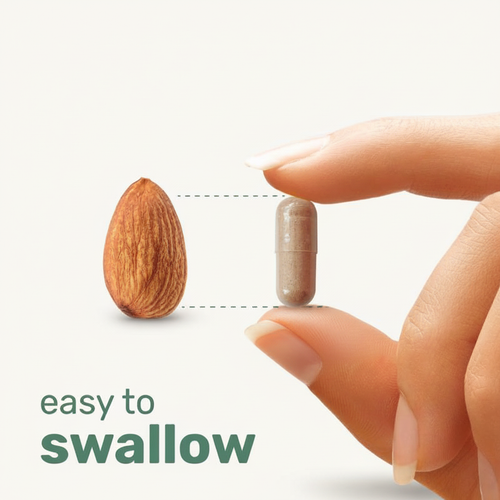 Liposomal NAD+ Ultimate